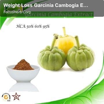 Weight Loss Garcinia Cambogia Extract HCA. Hydroxycitric acid