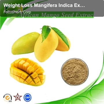 Weight Loss Mangifera Indica Extract, Hight Quality Mangifera Indica Extract Powder