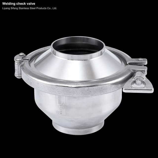 Welding check valve