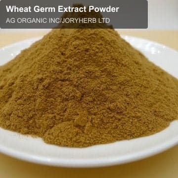 Wheat Germ Extract Powder