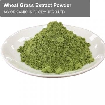 Wheat Grass Extract Powder