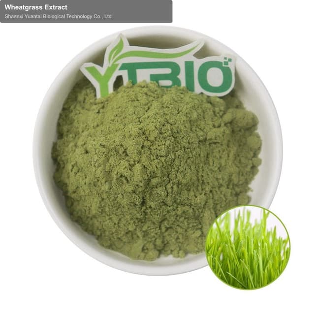 Wheatgrass Extract