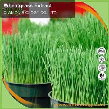 Wheatgrass Extract