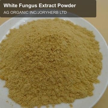 White Fungus Extract Powder