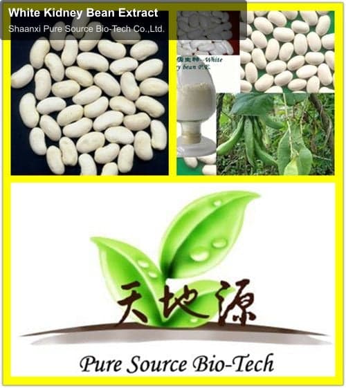 White Kidney Bean Extract