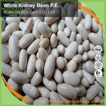 White Kidney Bean P.E.