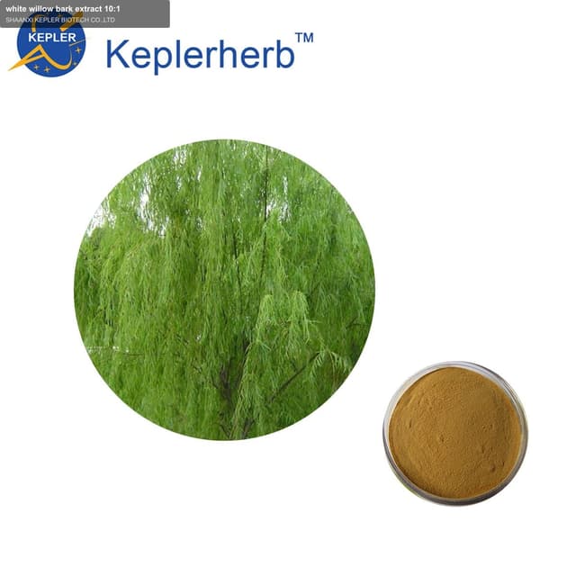 white willow bark extract 10:1