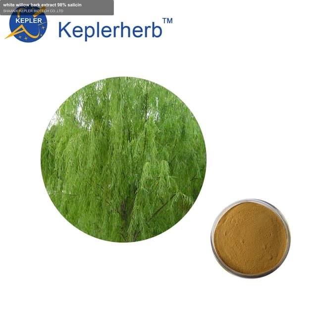 white willow bark extract 98% salicin