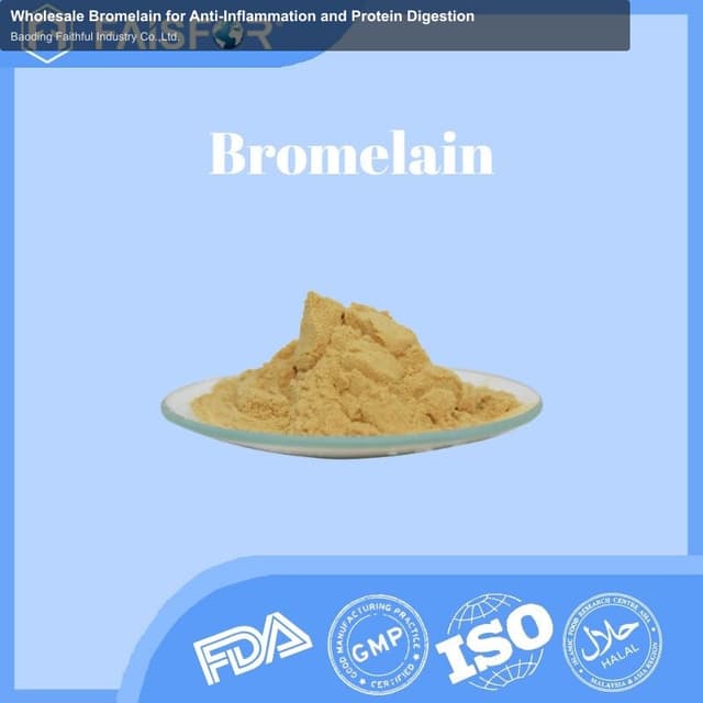 Wholesale Bromelain for Anti-Inflammation and Protein Digestion