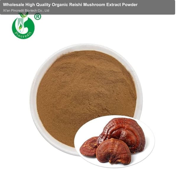 Wholesale High Quality Organic Reishi Mushroom Extract Powder