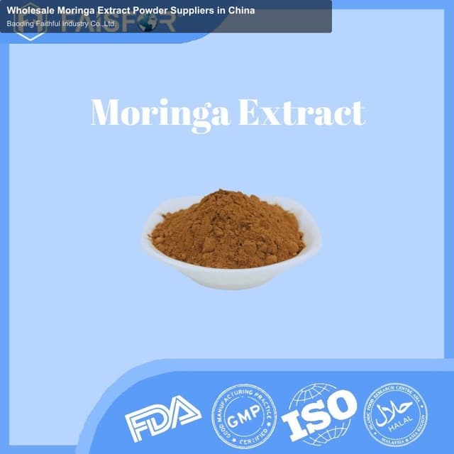 Wholesale Moringa Extract Powder Suppliers in China