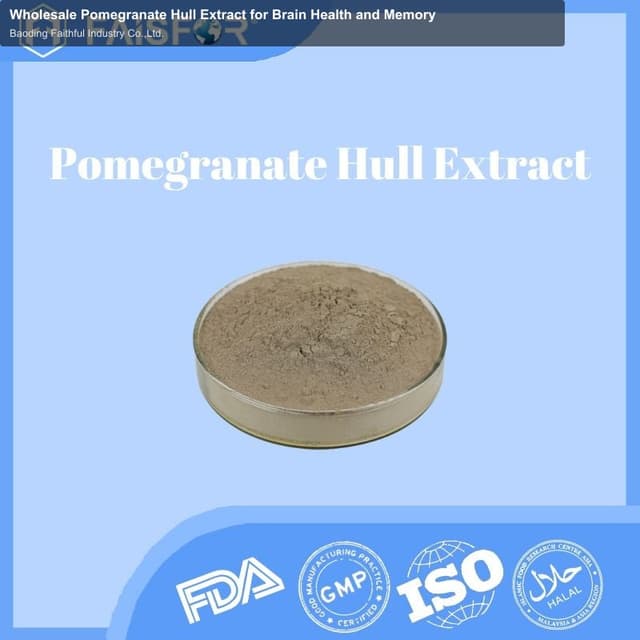 Wholesale Pomegranate Hull Extract for Brain Health and Memory