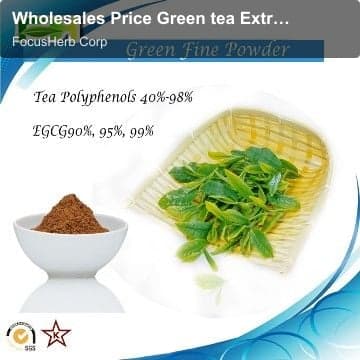 Wholesales Price Green tea Extract EGCG. Epigallocatechin Gallate