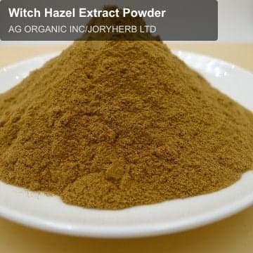 Witch Hazel Extract Powder
