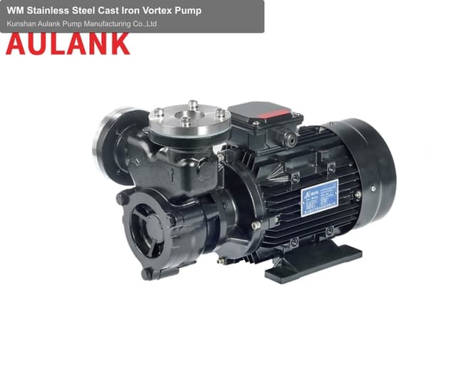 WM Stainless Steel Cast Iron Vortex Pump