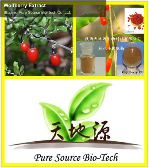 Wolfberry Extract