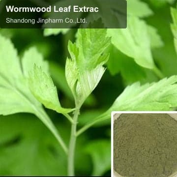 Wormwood Leaf Extrac