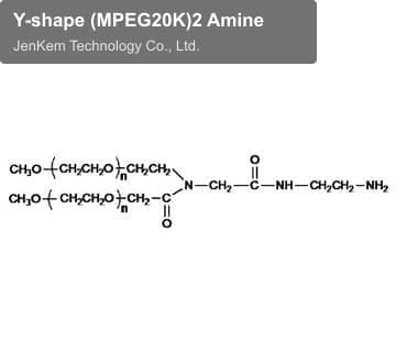Y-shape (MPEG20K)2 Amine