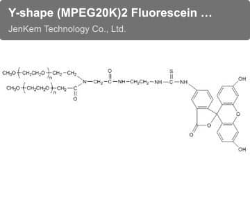 Y-shape (MPEG20K)2 Fluorescein isothiocyanate