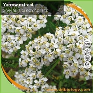 Yarrow extract