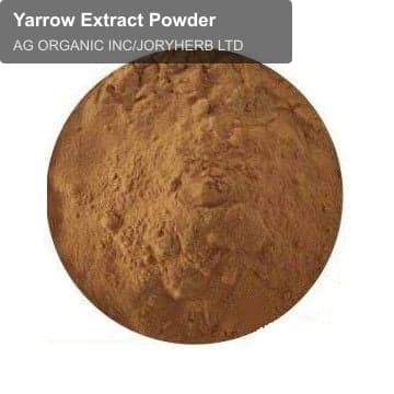 Yarrow Extract Powder