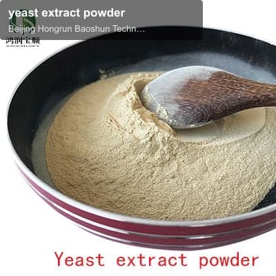 yeast extract powder