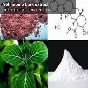 Yohimbine bark extract
