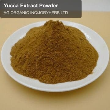 Yucca Extract Powder