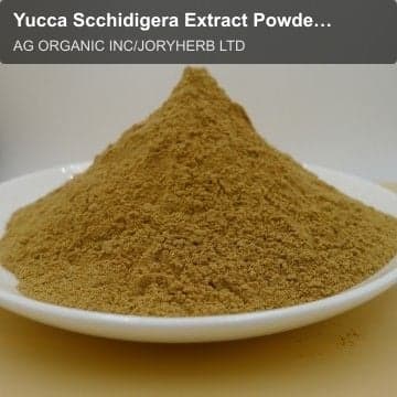 Yucca Scchidigera Extract Powder 10%