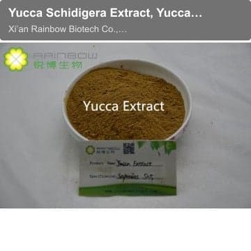 Yucca Schidigera Extract, Yucca Extract powder, Yucca Powder, Yucca P.E.