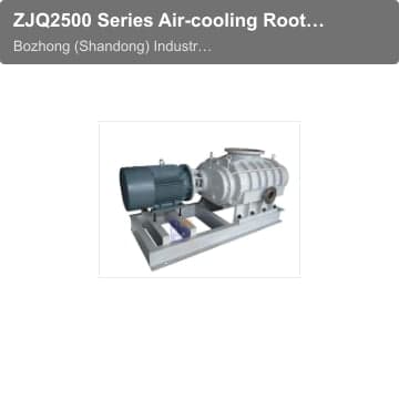 ZJQ2500 Series Air-cooling Roots Vacuum Pump