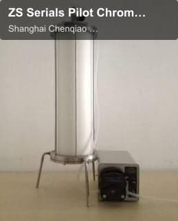 ZS Serials Pilot Chromatography Column