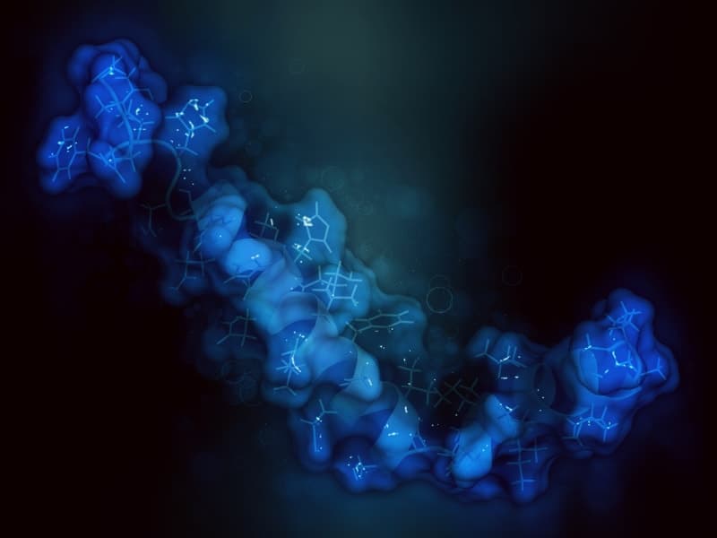 Couverture de Creative Biogene